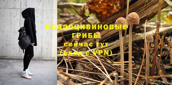 гашиш Няндома