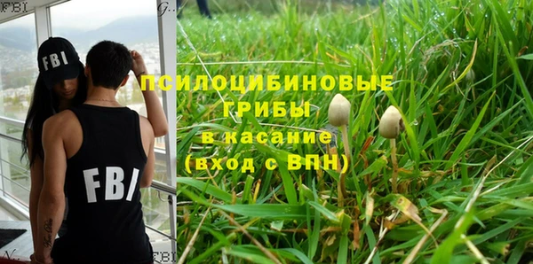 шишки Нязепетровск