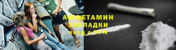 шишки Нязепетровск