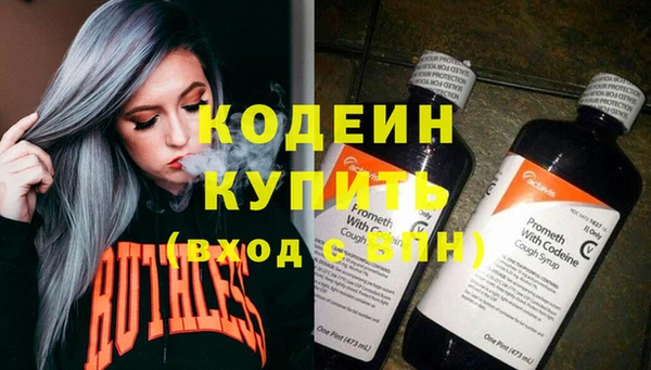 шишки Нязепетровск