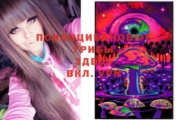 гашиш Няндома