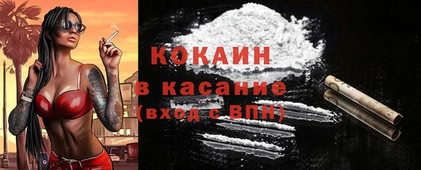 гидра Кедровый