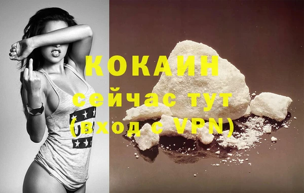 шишки Нязепетровск