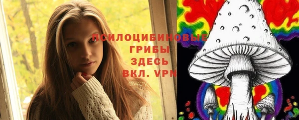 spice Кемь