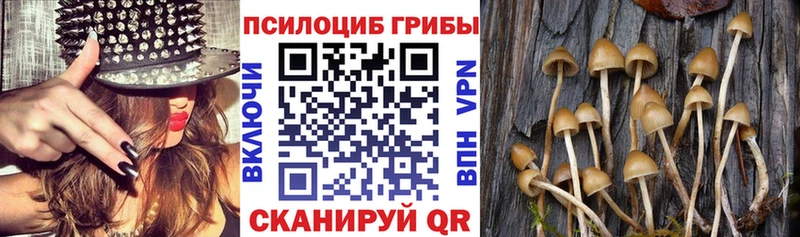 как найти закладки  Себеж  Псилоцибиновые грибы ЛСД 